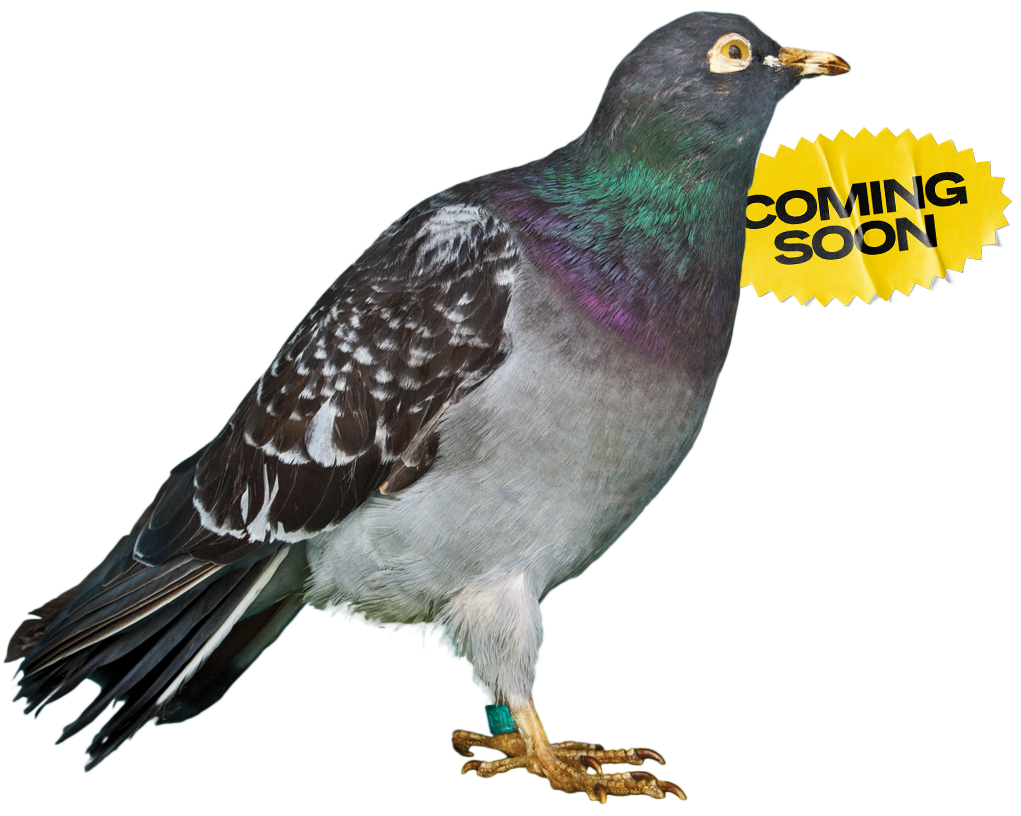 A pigeon that's part of the McGarrah Jessee lore with a "coming soon" sign regarding the gift shop.