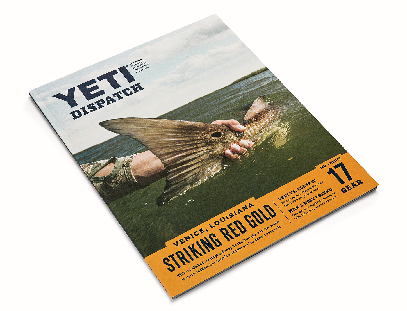 Cover design of the YETI Dispatch magazine of Red Gold fish